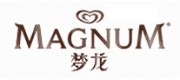 MAGNUM夢(mèng)龍