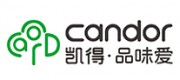 凱得candor